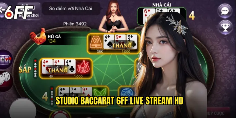 Studio Baccarat 6FF Live Stream HD
